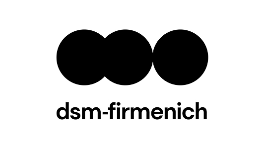 dsm